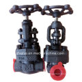 API602 Forged Carbon Steel A105 Thread End NPT Globe Valve